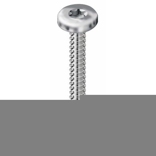VIS AUTOPERCEUSES TÊTE CYLINDRIQUE TORX - 3,9X19 MM - 500 PIÈCES VISWOOD