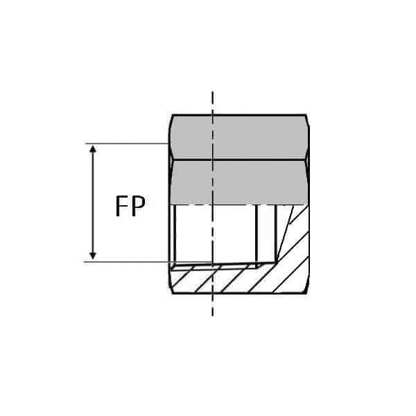 Bouchon femelle NPT tête hexagonale - 1