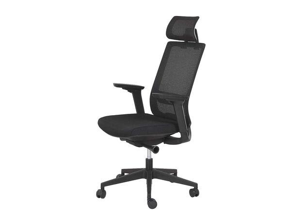 Siège de bureau synchrone automatique Karl avec appui-tête et dossier résille - 4 positions blocables - Accoudoirs réglables 4D_0