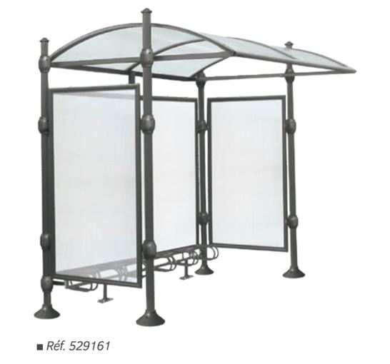 Abri vélo esthétique avec pommeaux décoratifs - PROVINCE - 6 places, aluminium et polycarbonate anti-UV_0