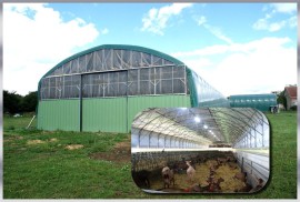 Tunnel d'élevage pour Chèvrerie isolée  - type 12.80m de large_0
