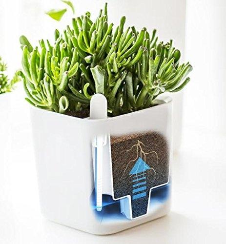 EDEN plantenpot wit 16x16x17 cm - 2,61 L - Orthex 53710 - OP=OP_0