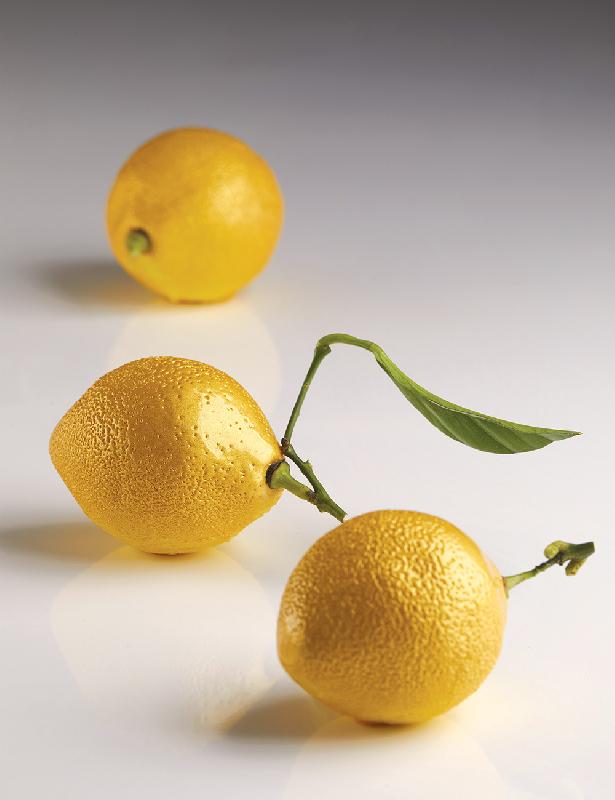 AF006 - Moule en silicone Citron individuel Pavoni Italia - 8 empreintes_0