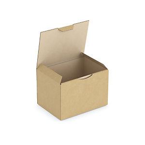 BOÎTE CARTON BRUNE D'EXPÉDITION RAJAPOST 16X12X11 CM