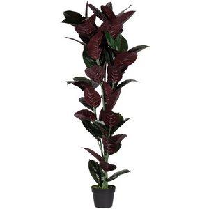 LOT DE 2 - PLANTE ARTIFICIELLE 'CAOUTCHOUC', HAUTEUR: 360 MM