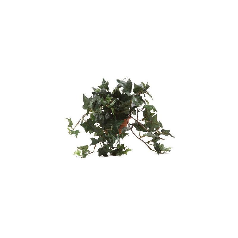 Plante lierre vert - dimensions L30xl25xH20 cm - Polyester - couleurs Vert et Orange_0