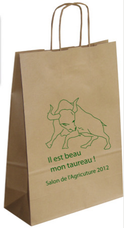 Sac publicitaire en papier kraft 110gr - 27x36x12cm - Marquage flexographie 1 à 2 couleurs_0
