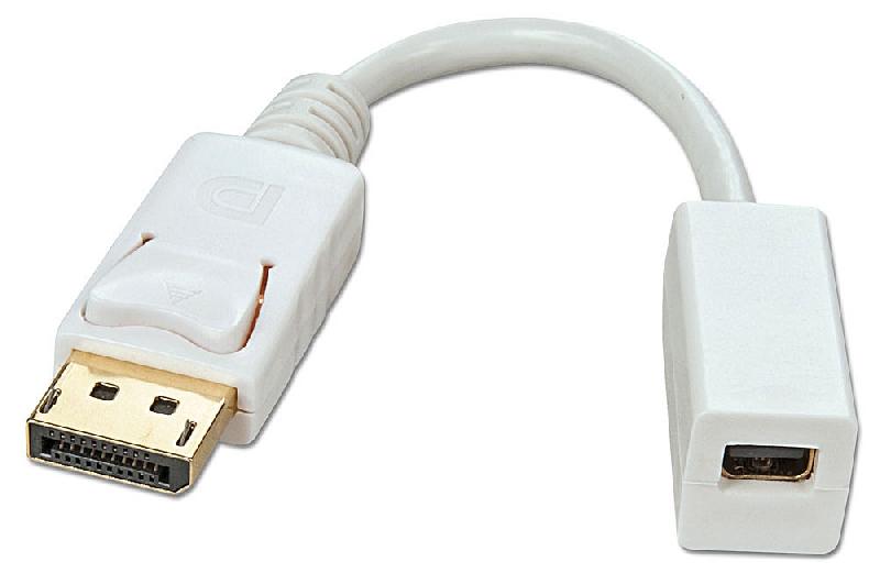 Câble adaptateur DP (DisplayPort) vers Mini-DisplayPort femelle - 15cm - Lindy - Compatible Thunderbolt vidéo uniquement_0