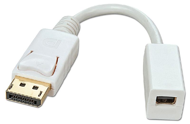 CÂBLE ADAPTATEUR DP (DISPLAYPORT) VERS MINI-DISPLAYPORT FEMELLE LINDY_0