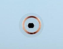 Disc-Tag Hitag-S256 - Lot de 10 tags - 30mm - transparent - 125 kHz_0