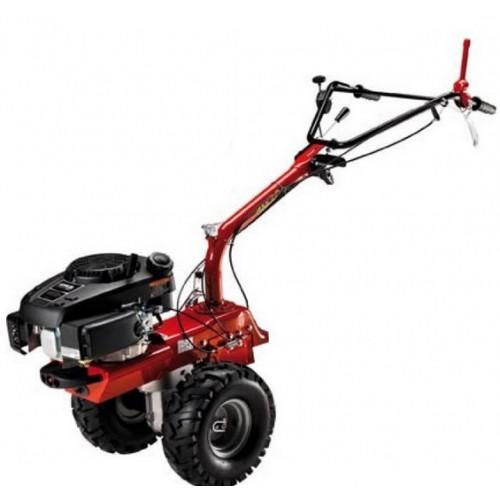 CELLULE MOTRICE - MOTEUR B&S SERIES 850 OHV 190CC - P70 EVO EUROSYSTEMS