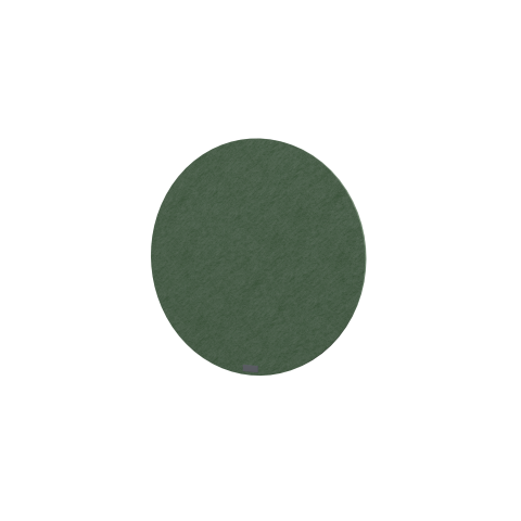PANNEAU ACOUSTIQUE MURAL NAEL EN PET 12 MM - FORME CERCLE - AVEC CHÂSSIS DE RENFORT AU DOS -DIAMÈTRE 70 CM - VERT