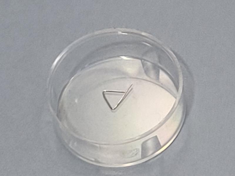 Poids d'étalonnage ZWIEBEL 10mg classe E2 INOX_0