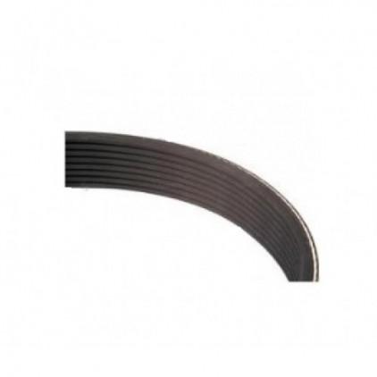 Courroie du ventilateur - référence PTA-A44759 - compatible Ford 7740, 7840, 8240, TS110, TS115_0