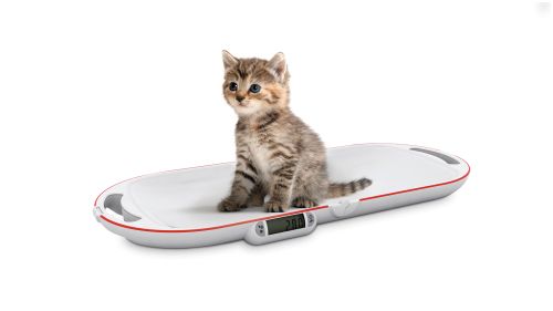 8320 - Balance pliante pour petits animaux - Soehnle - 740 x 315 x 53 mm_0