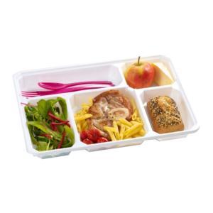 Plateau repas jetable plastique ou carton, plats jetables : Firplast