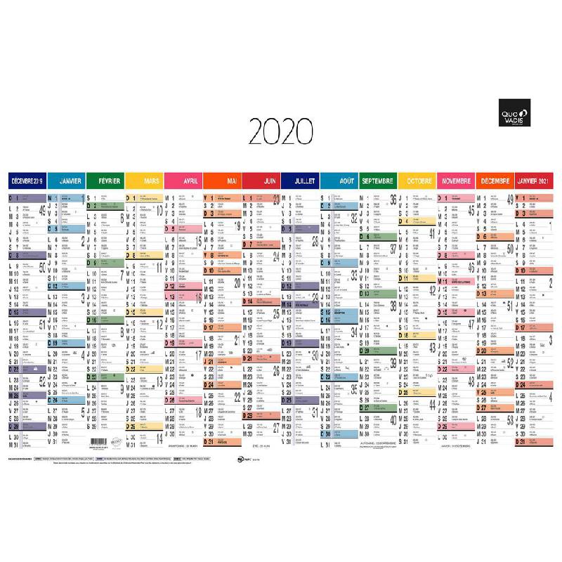 janvier 2020 à juin 2021 30,5 x 17 2020-2021 Calendrier mural de bureau mensuel à thème coloré à suspendre pour agenda quotidien 