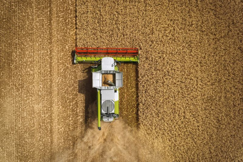 Moissonneuse-batteuse CLAAS Lexion 780-740 - Trémie 12800L - APS Hybrid System_0