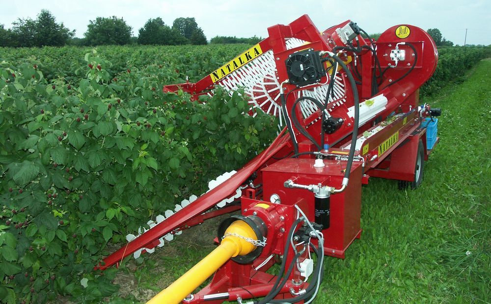 Récolteuse à framboises natalka - weremczuk - puissance minimale requise 35 hp - productivité 0.1 à 0.15 ha/h_0