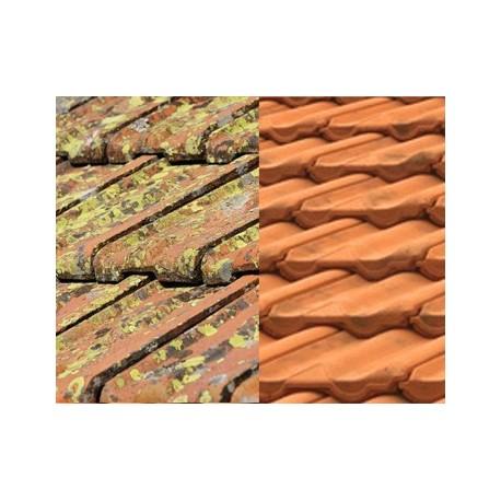 Anti mousse SF - Nettoyant chloré spécial façade - Concentré diluable à l'eau_0