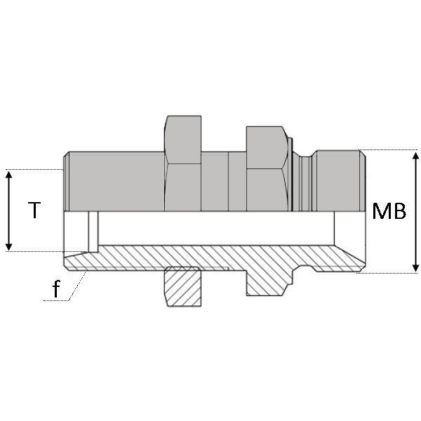 Droit mâle cloison 24° x mâle gaz cylindrique - LUMCYC1206 - UMCY 12L / 3/8 JENE CLOISON_0