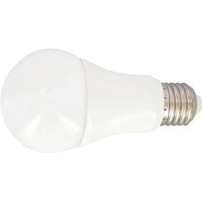 Ampoule à LED haute performance - Culot E27 - 8,8 W - Blanc chaud - 806 lumens - Équivalent 60W_0