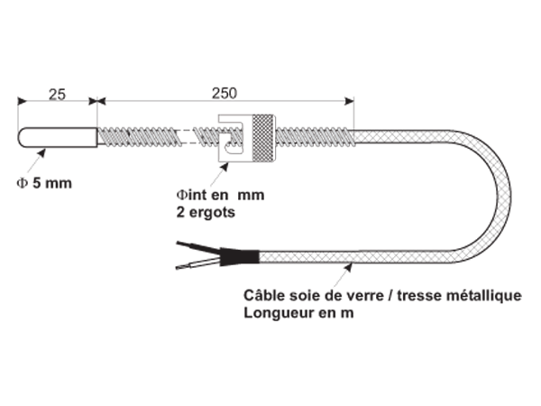 Sonde Pt100 Classe B - Embout rond ø 5 mm et longueur 25 mm - Baïonnette 2 ergots_0