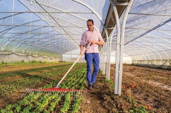 Herse étrille manuelle - 120 cm, 5 kg - Référence 541122 - Double rangée d'étrilles pour une efficacité optimale_0