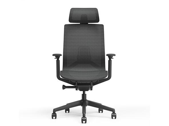 Fauteuil ergonomique Arko - soutien lombaire - têtière réglable - résille noire - mécanisme synchrone_0
