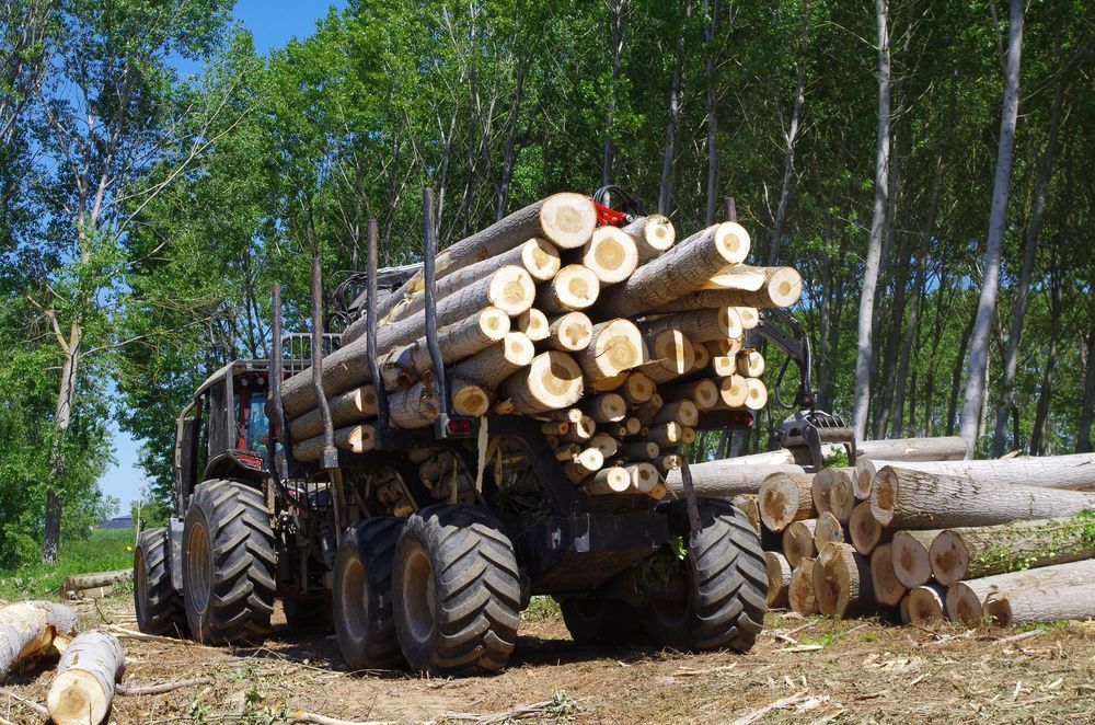 Remorque forestière mono-poutre en acier haute résistance RH20