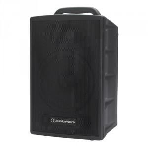 Enceinte passive 100 watts - passrun audiophony_0