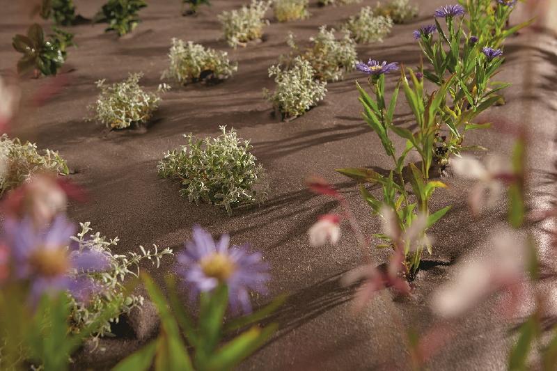 Paillage biodégradable et compostable (PLA)* - 100 m, 1m_0
