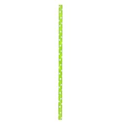 FIRSTPACK FHC - Paille Papier à pois vert citron   H197mm - 3000Pcs - vert papier 3282552153824_0