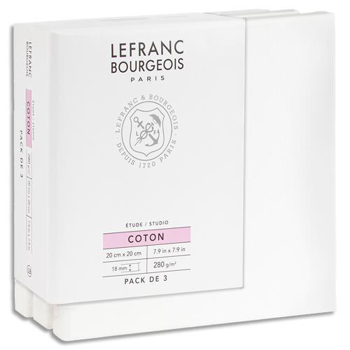 LOT DE 3 TOILES LEFRANC & BOURGEOIS STUDIO CANVAS 20X20CM