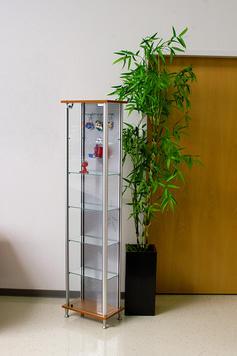 Vitrine d'exposition avec fond perforé - aluminium anodisé - 5 rayons en verre - 400x250x1600 mm_0