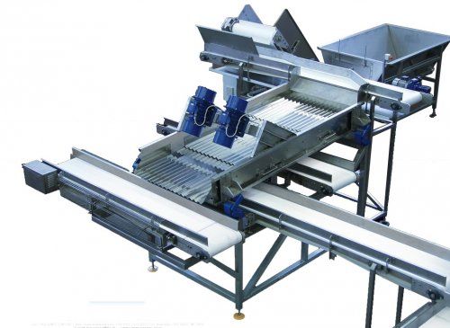 1364 - Calibreuse alimentaire Tecnoceam - Séparation des produits oblongs - Production 1000-3000 kg/heure_0