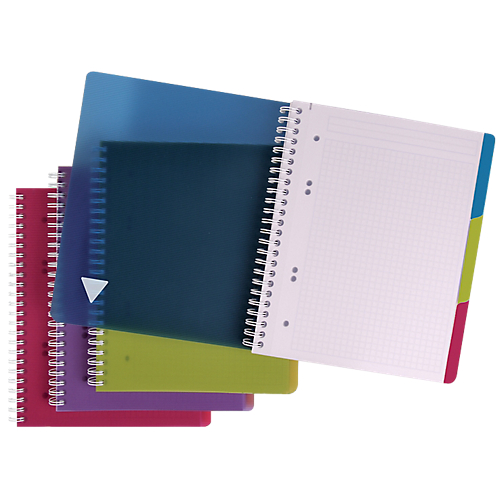 CAHIER PETITS CARREAUX PERFORÉ RELIURE INTÉGRALE POLYPRO CLAIREFONTAINE LINICOLOR A4+ COLORIS ALÉATOIRE 240 PAGES - 120 FEUILLES