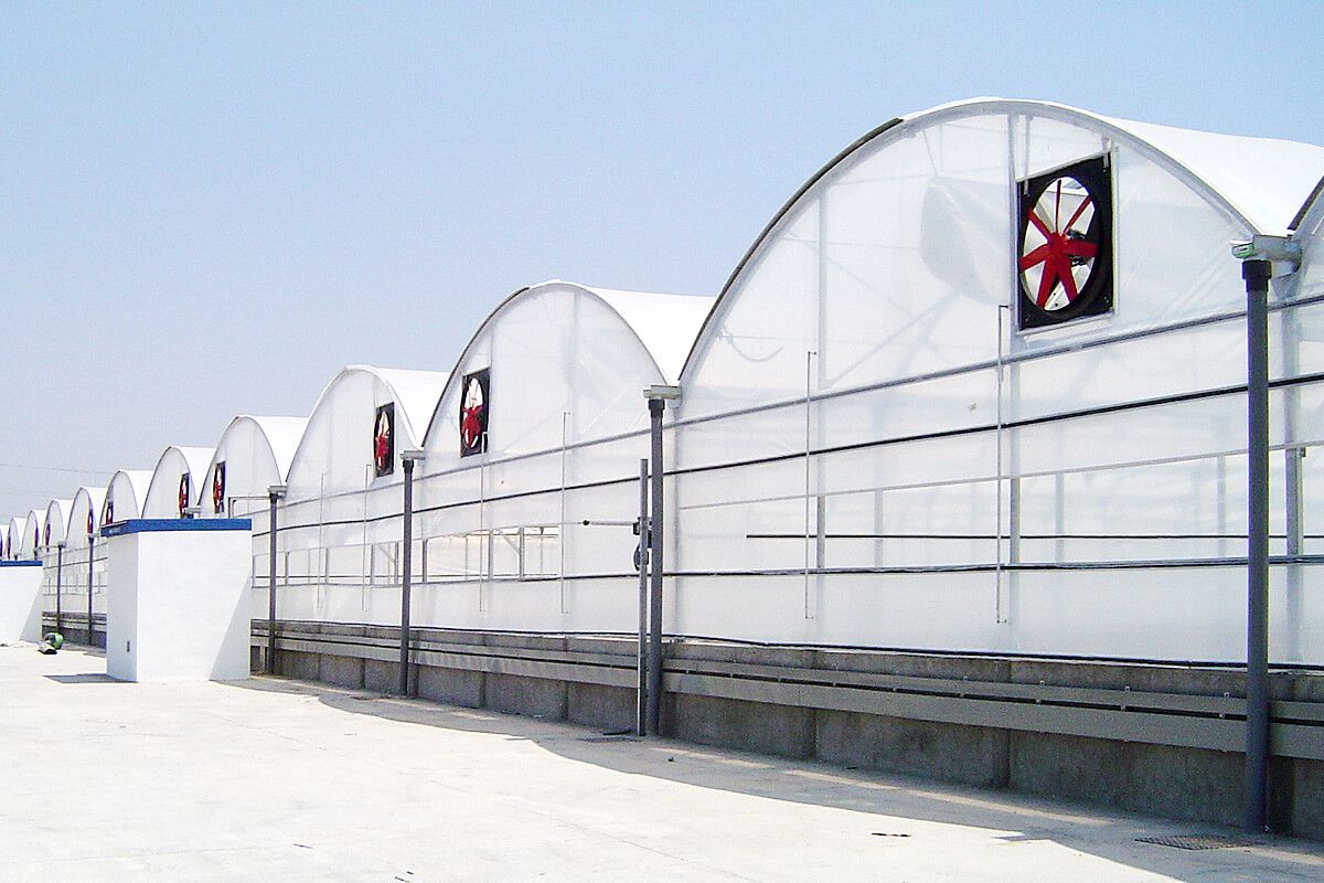 Serre chapelle - ulma agrícola - largeur de chapelle 6.4 à 10 m_0