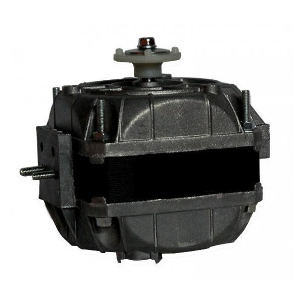 Moteur electrique 5-82ce 2010_0