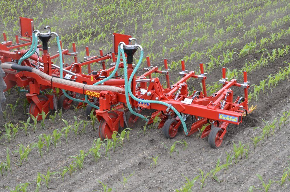 Chopstar 5-90 - Bineuse agricole Einböck pour inter-rangs jusqu'à 90 cm avec dents vibro_0