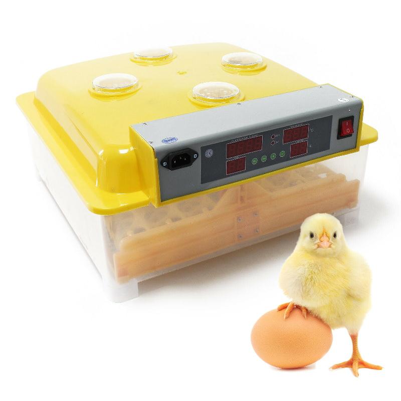 couveuse professionnelle avec tourne-œufs automatique incorporé thermomètre pour 24 œufs de poule ou 50 Estink Incubateur automatique pour œufs 60 œufs de caille 