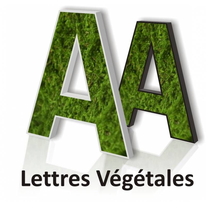 Creation-vegetale - lettrage 3d végétale - création en ligne - popdeco_0