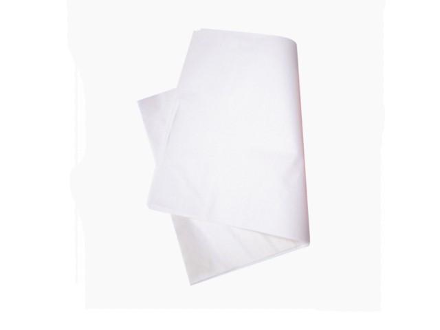 PAPIER BOUCHERIE TRAITÉ WS ET INGRAISSABLE 50G