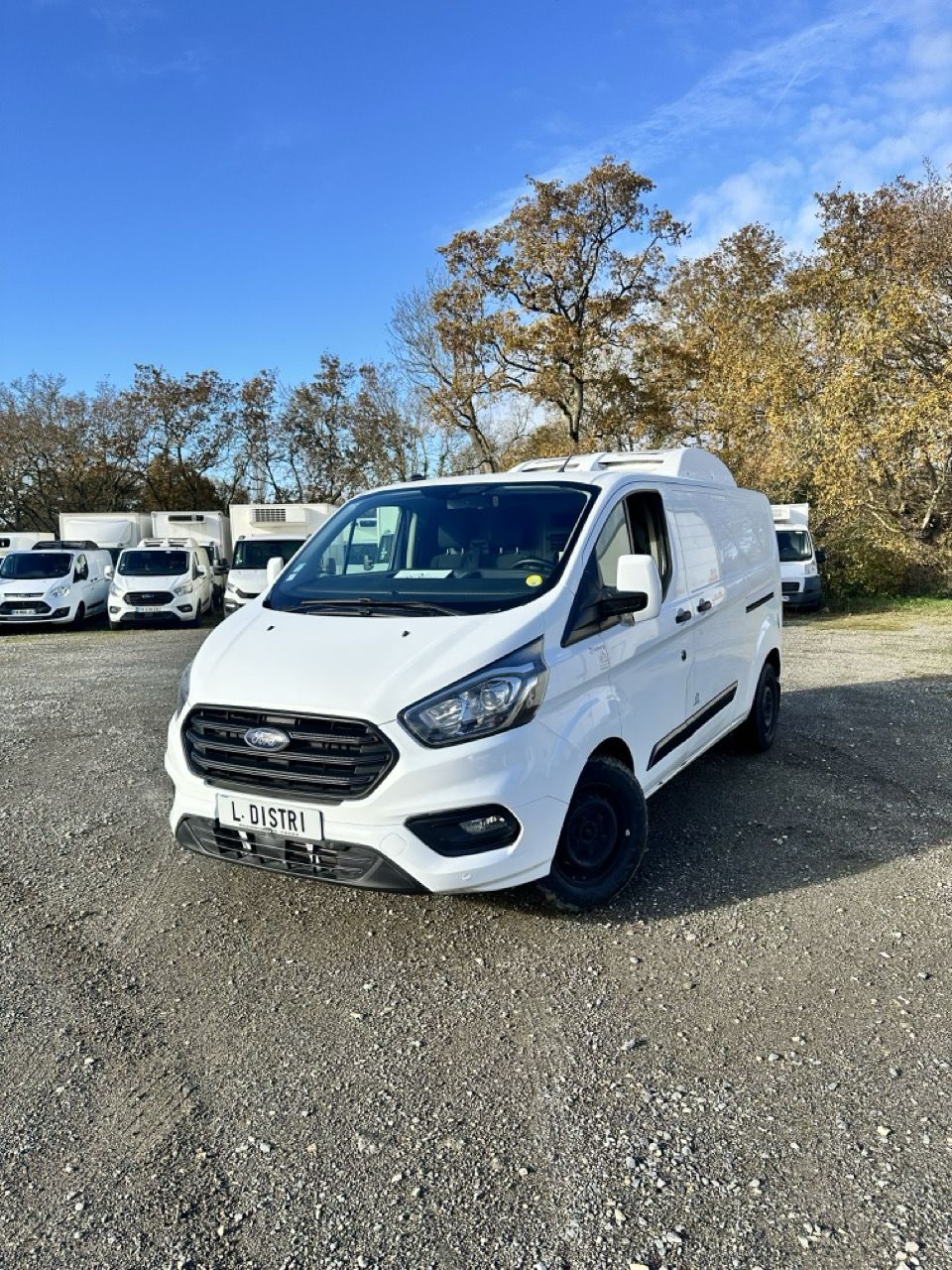 Voiture  frigorifique - 242FR120 ford custom_0