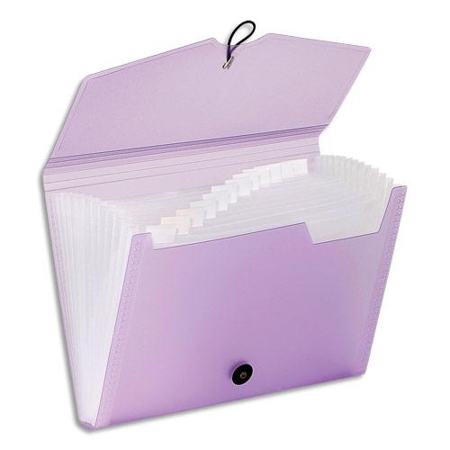 TRIEUR MENAGER 12 CMPTS VIQUEL PROPYSOFT - PP 6,5/10 TRANSLUCIDE POUDRE - COLORIS ASSORTIS ROSE, MAUVE, BLEU, VERT