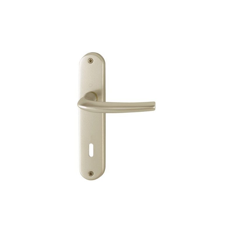 ENSEMBLE SAN DIEGO PETIT MODEL TYPE CLÉ L FINITION F2 ALUMINIUM ASPECT CHAMPAGNE - HOPPE - 3230338