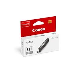 Cartouche D Encre Canon Pixma Chroma Life 100 Ts8750 S Bl Gris - gris 3663725039136_0