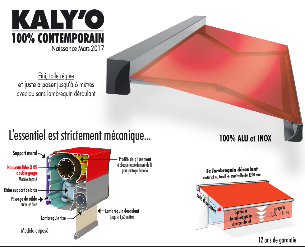 Store banne coffre KALY'O - Dimensions de 2130 à 6000 mm - Motorisation SOMFY_0