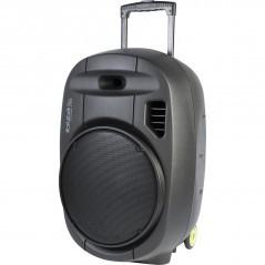 ENCEINTE AMPLIFIE 200W IBIZA USB+2 MICRO HF+BLUETOOTH_0