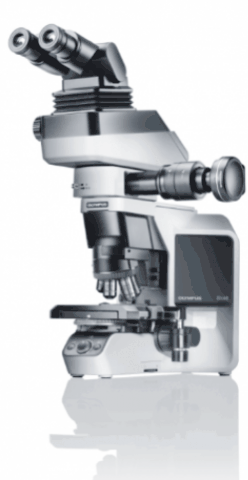 Bx46 - microscope droit_0